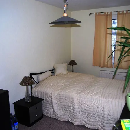 Vakantiehuis Holiday Hauptstrasse Z Lengenfeld (Saxony)